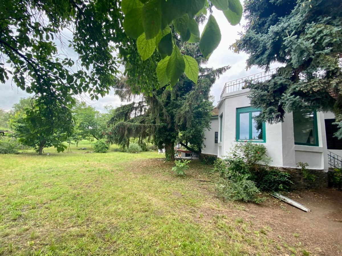 Villa Delibab Badacsonytomaj Buitenkant foto